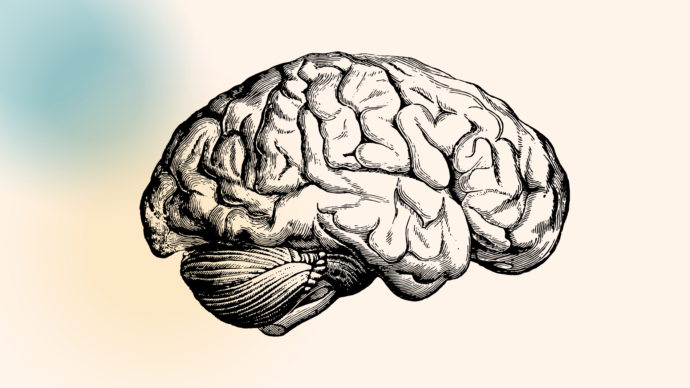 7 ting om psykologi du bør vide som designer